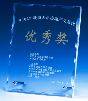 2003年秋季天津房地產交易會優(yōu)秀獎